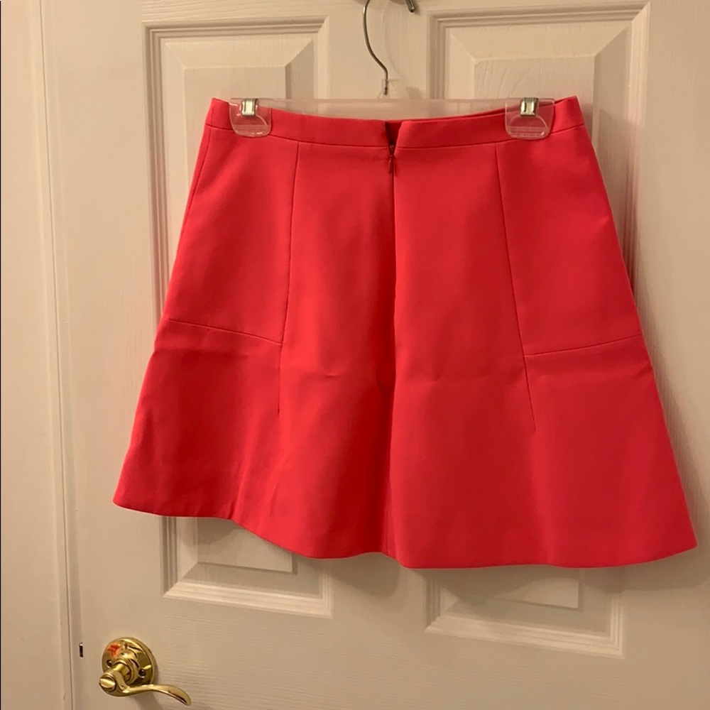 JCrew Skirt